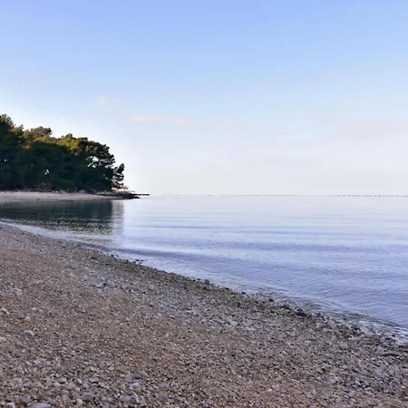 Nettes In Valica Mit Grossem Garten By Interhome Lejlighed Valizza