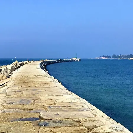 Nettes In Valica Mit Grossem Garten By Interhome Lejlighed Valizza